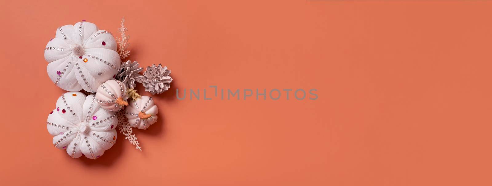 Banner with white decorative hand made pumpkins with shiny stones and pine cones on colored background. Thanksgiving day concept by ssvimaliss