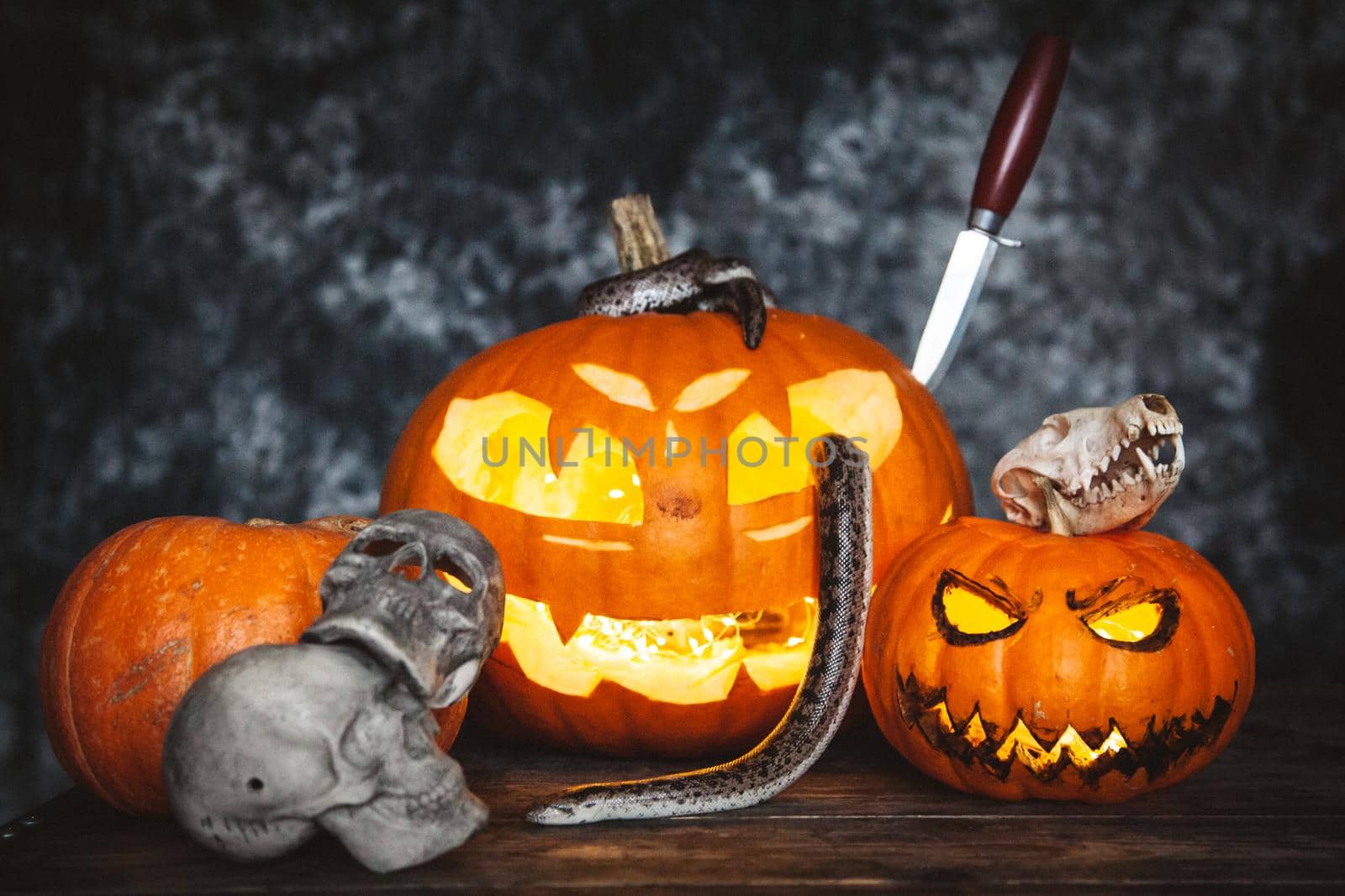 Happy Halloween. Snakes with pumpkins on a table. by RosaJay