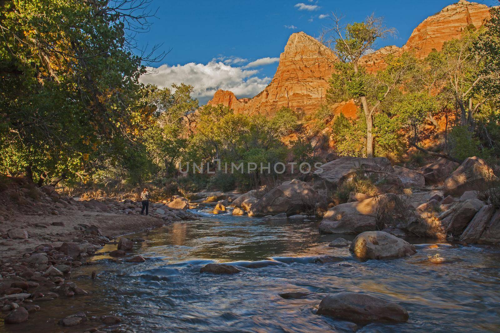 The Virgin River from Zion Canyon Campground. Springdale Utah