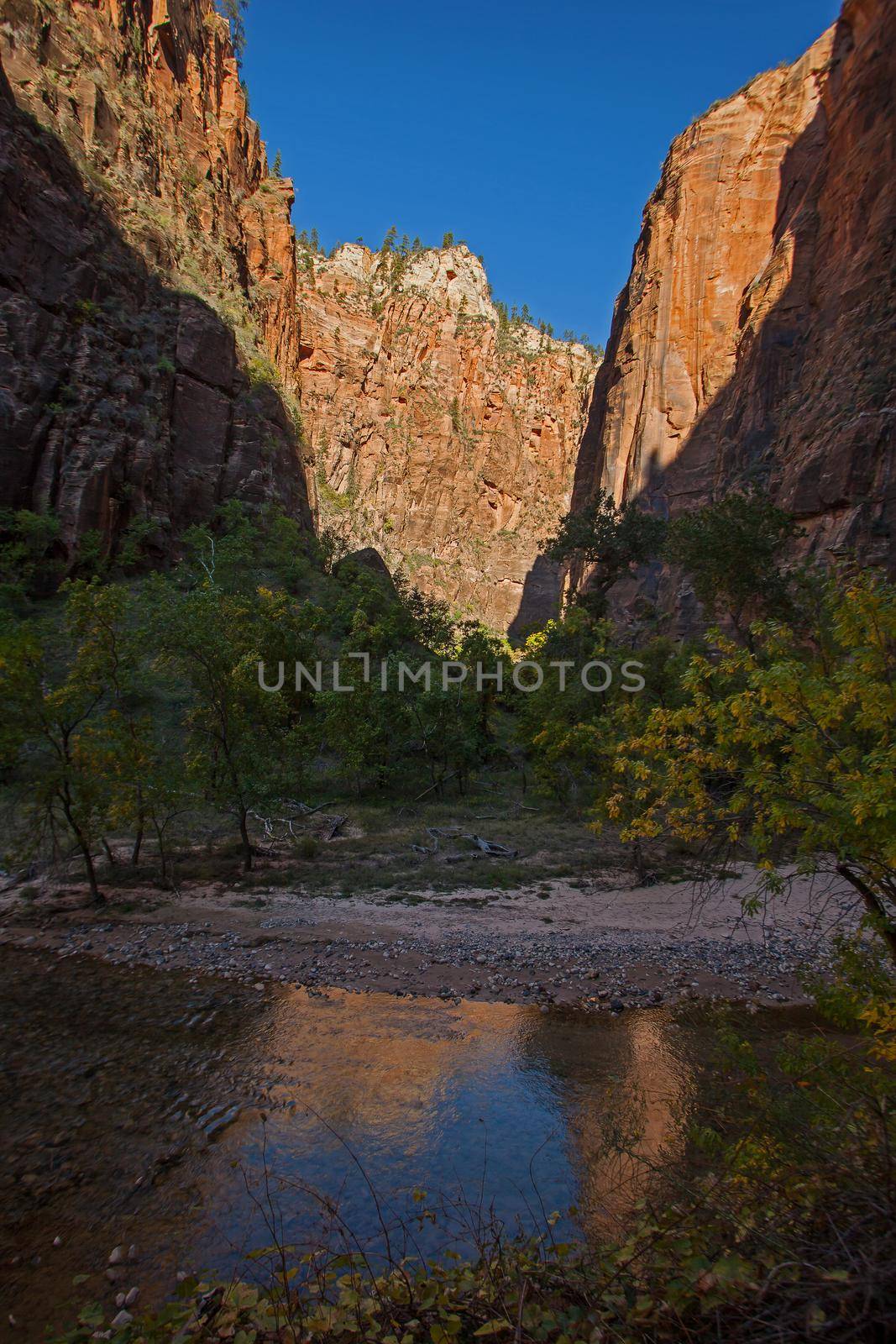 Virgin River Zion National Park 2590 by kobus_peche