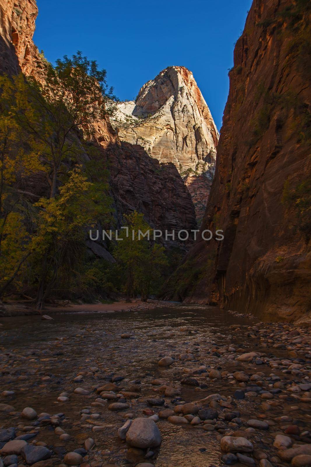 Virgin River Zion National Park 2599 by kobus_peche