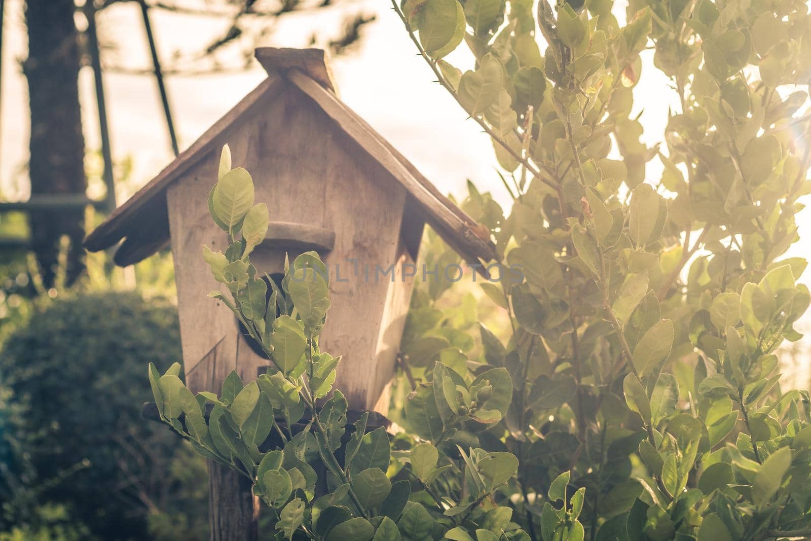 Wooden Outdoor Garden Birds Wood Nesting House Nest Home in Garden. Garden nature idea.