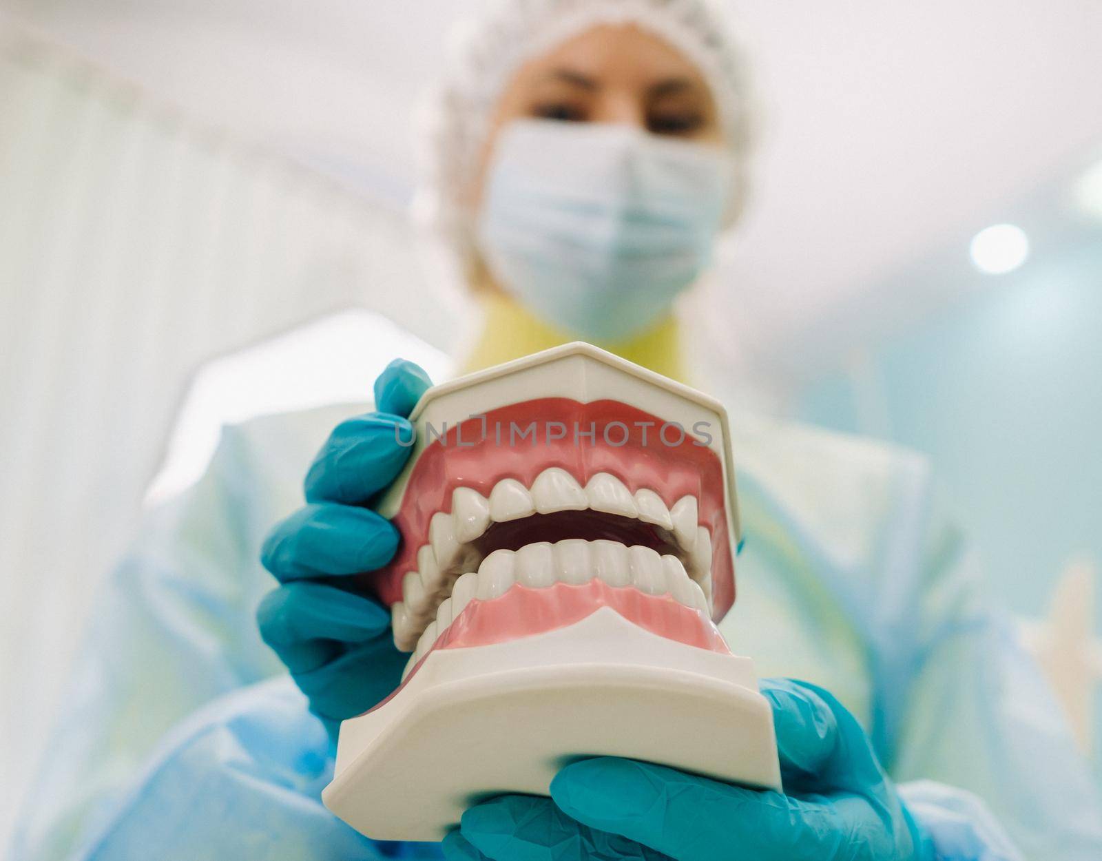 A model of a human jaw with teeth and a toothbrush in the dentist's hand.