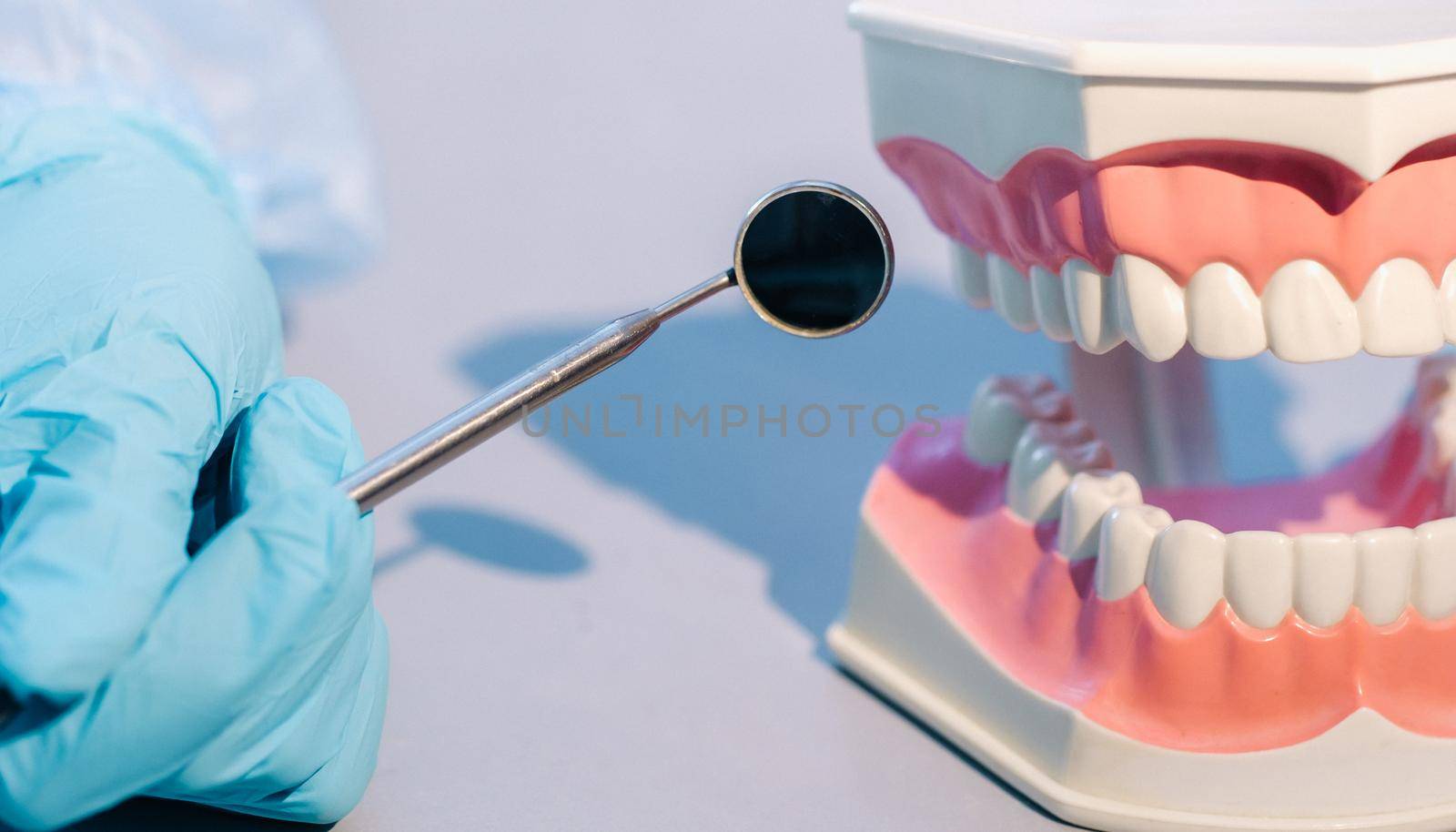 A dental doctor wearing blue gloves and a mask holds a dental model of the upper and lower jaws and a dental mirror by Lobachad