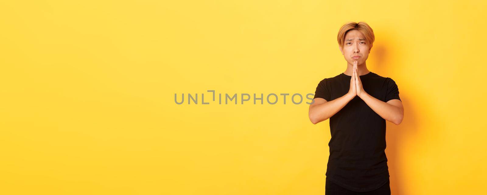 Portrait of miserable asian guy pleading, begging for help, standing over yellow background.