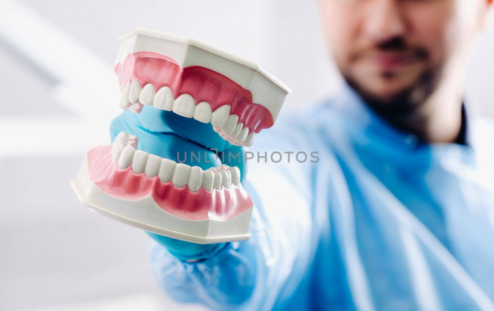 A model of a human jaw with teeth and a toothbrush in the dentist's hand.