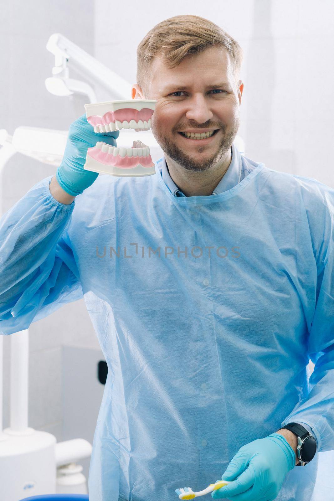 A model of a human jaw with teeth and a toothbrush in the dentist's hand.