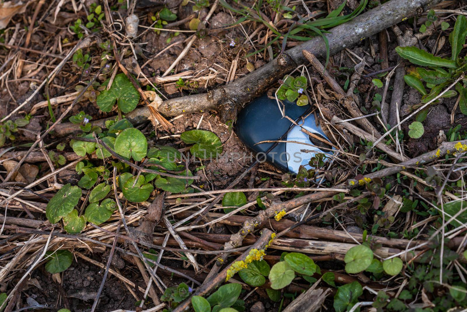 A computer mouse pollutes nature in Germany and poisons the environment