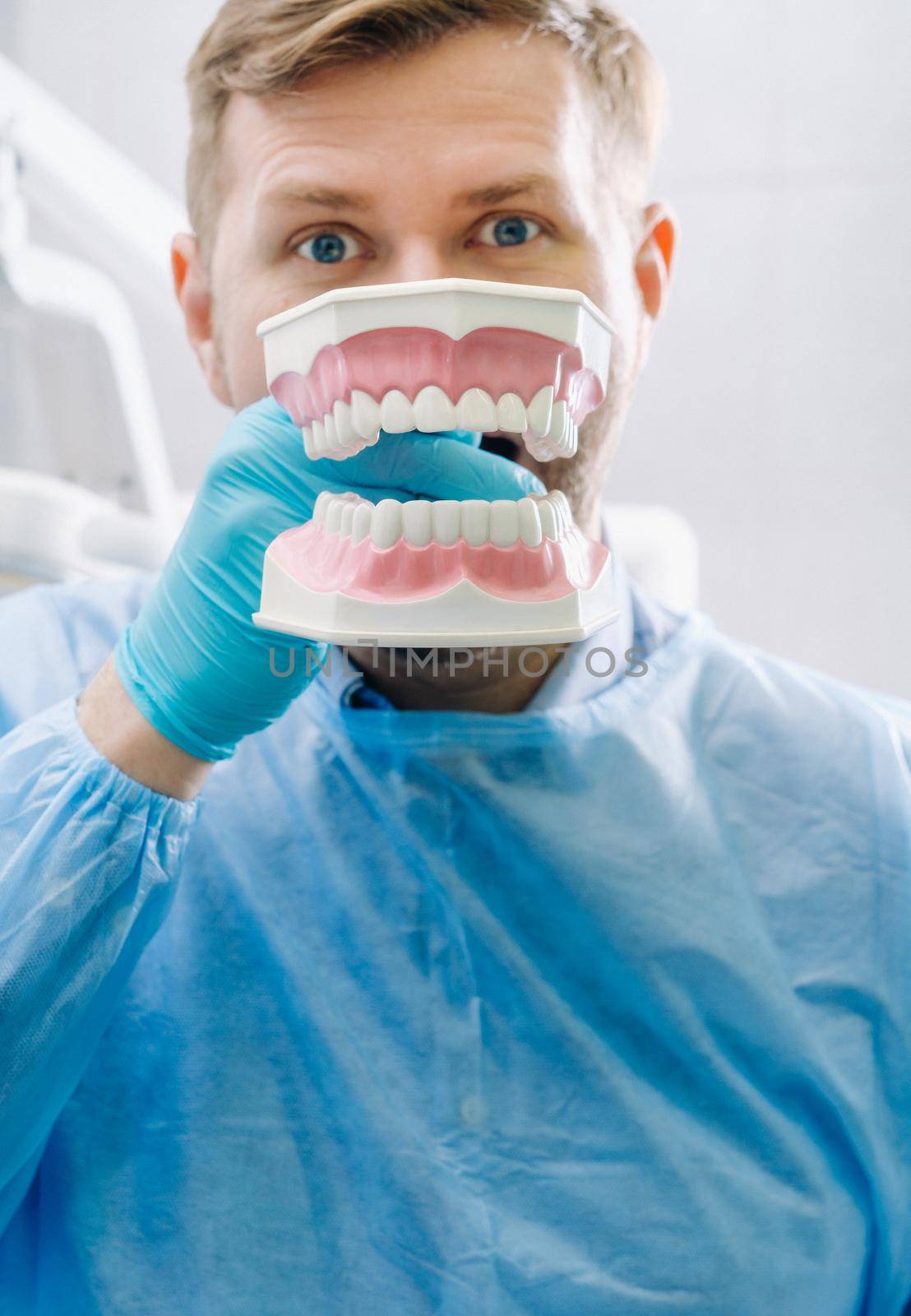 A model of a human jaw with teeth and a toothbrush in the dentist's hand.