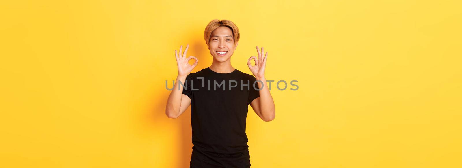Portrait of smiling confident asian guy, looking pleased, showing okay gesture, yellow background.