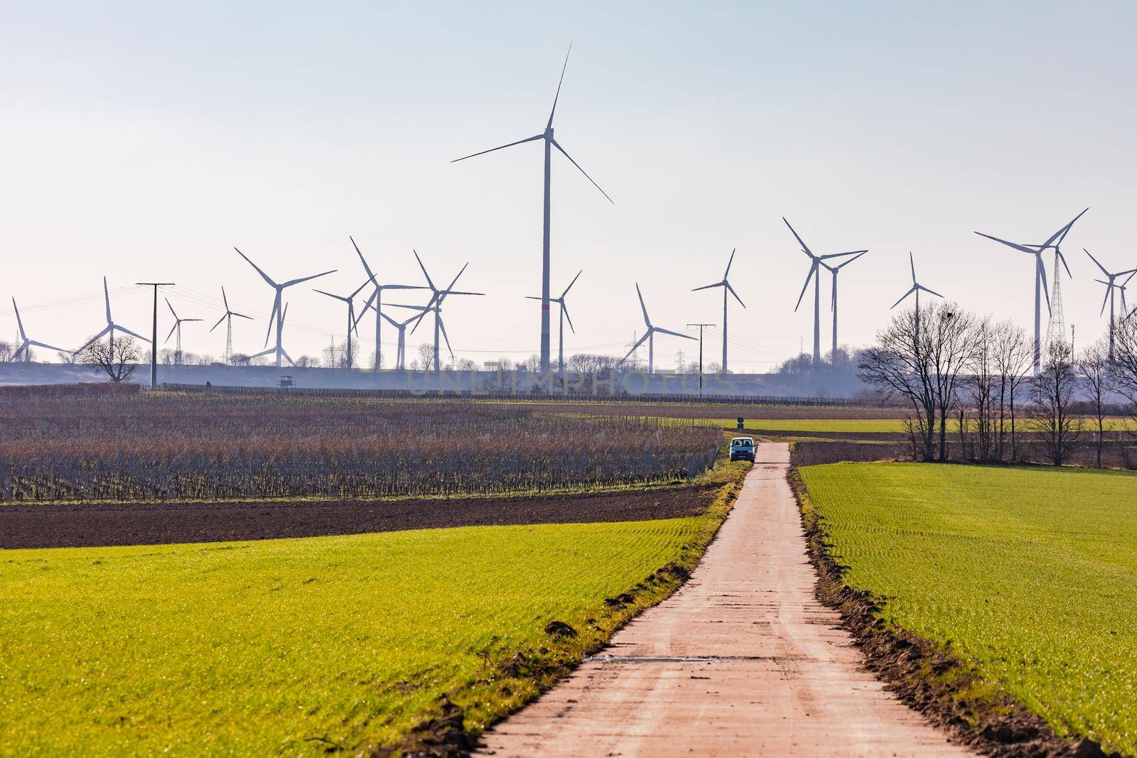 A dirt road through fields leads to a multitude of wind turbines ruining the landscape and the horizon