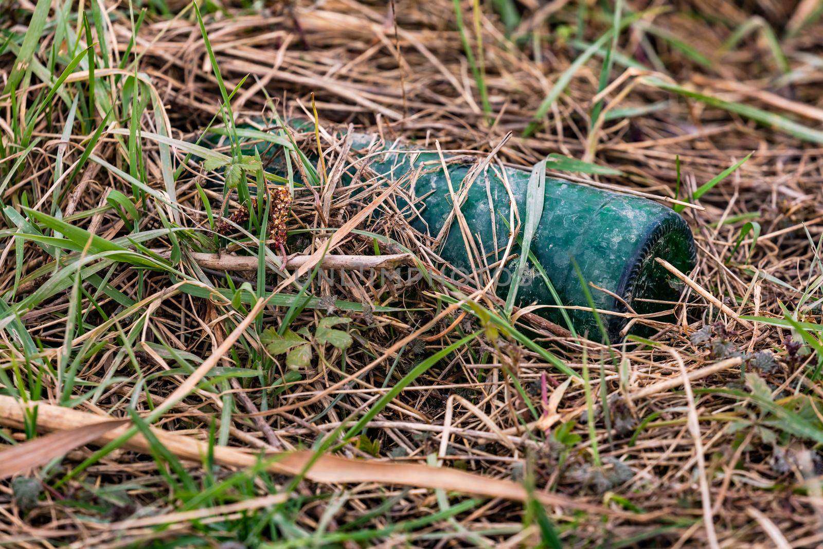 A glass bottle practically does not rot in the environment and can be dangerous for humans and animals