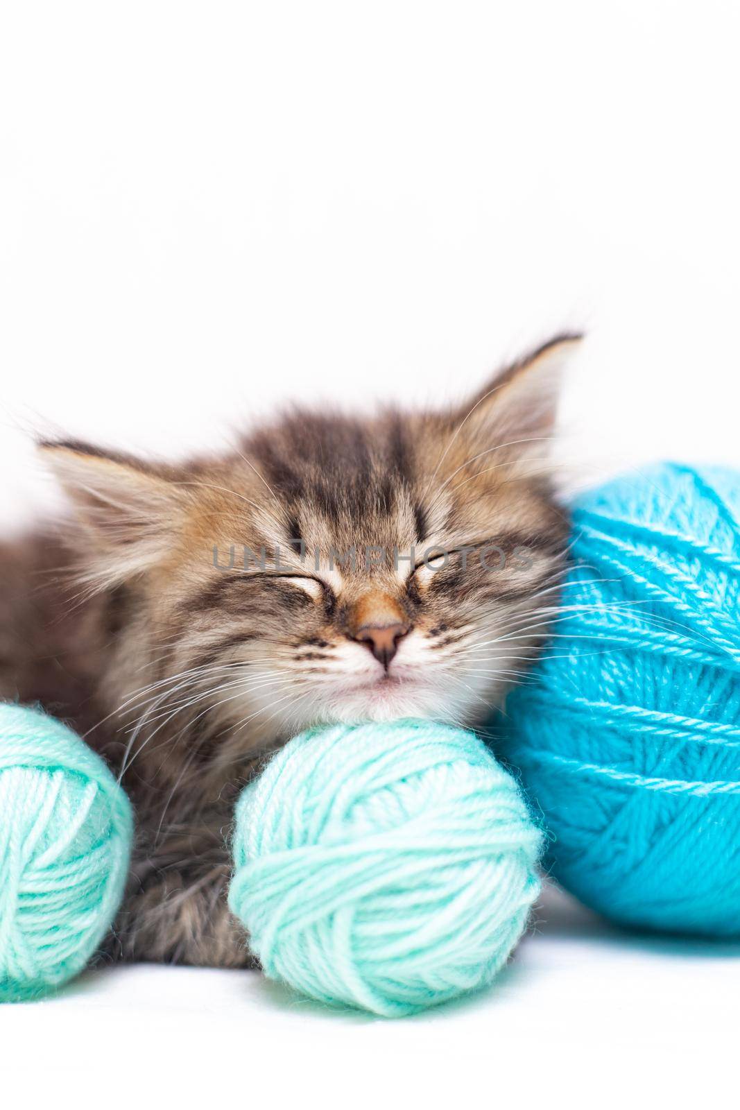 Striped cat with blue balls, skeins of thread on a white bed. An article about kittens. An article about pets. by alenka2194