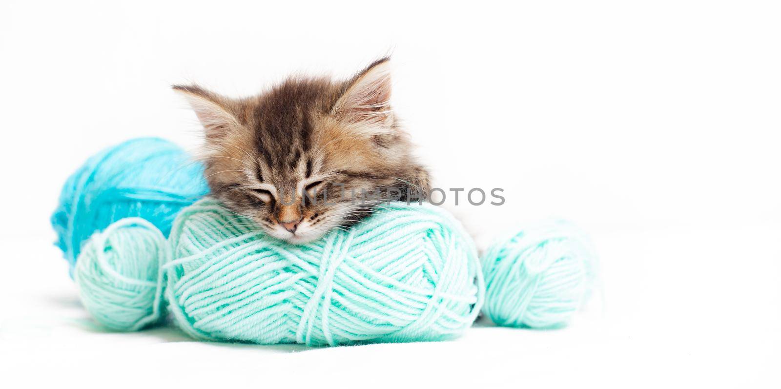 Striped cat with blue balls, skeins of thread on a white bed. An article about kittens. An article about pets. by alenka2194