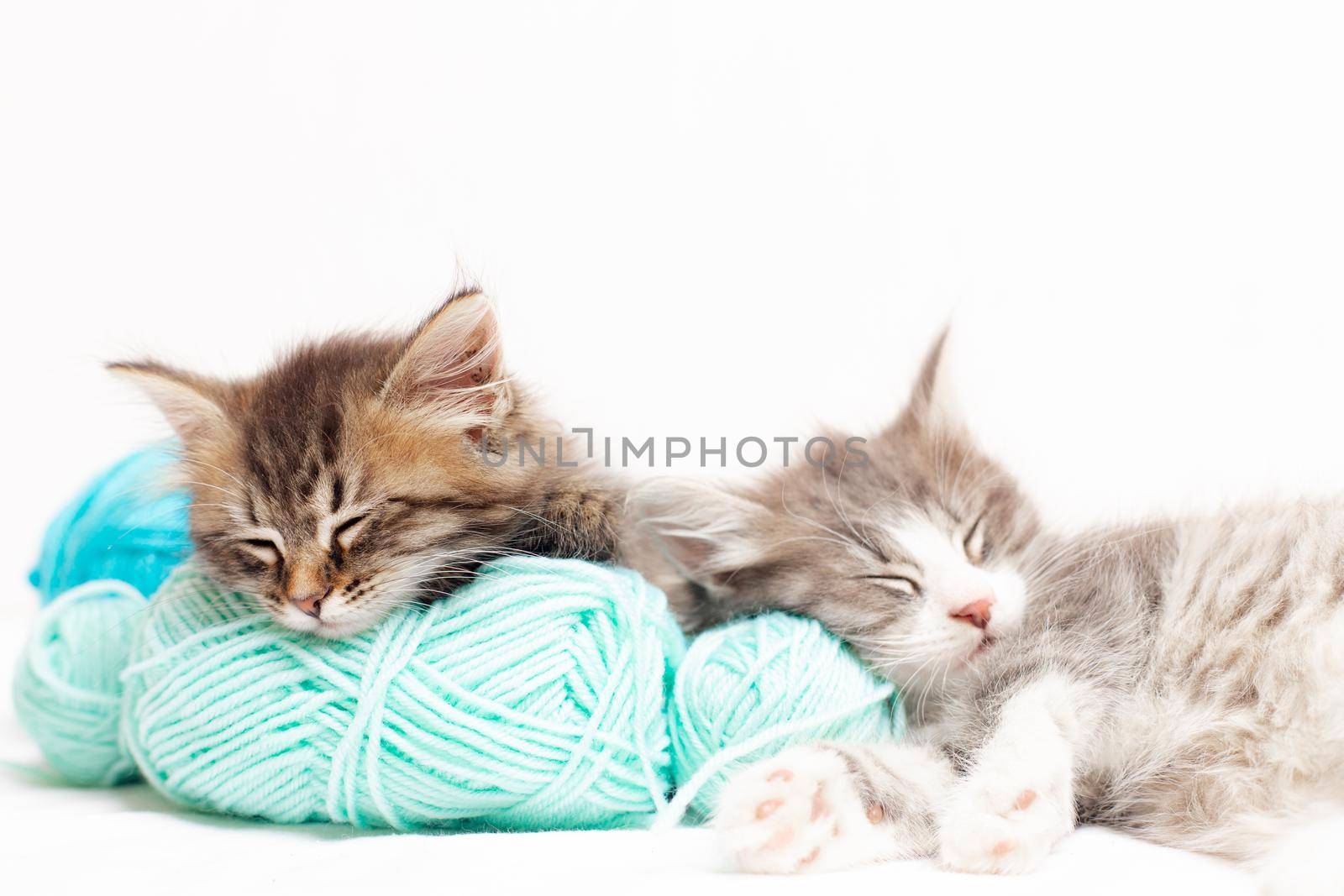 Striped cat with blue balls, skeins of thread on a white bed. An article about kittens. An article about pets. A curious little kitten sleeping over a white blanket