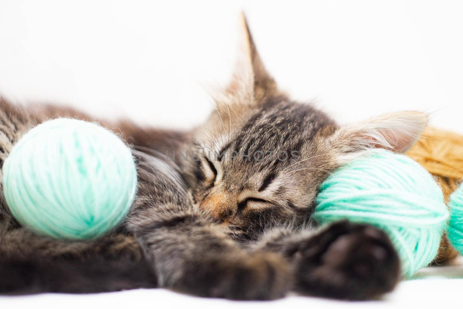 Striped cat with blue balls, skeins of thread on a white bed. An article about kittens. An article about pets. by alenka2194