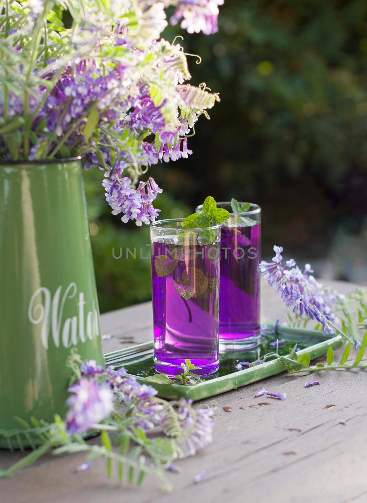 Lilac Lemonade of basil and mint, vintage still life purple and green, in the rays of the setting sun. High quality photo