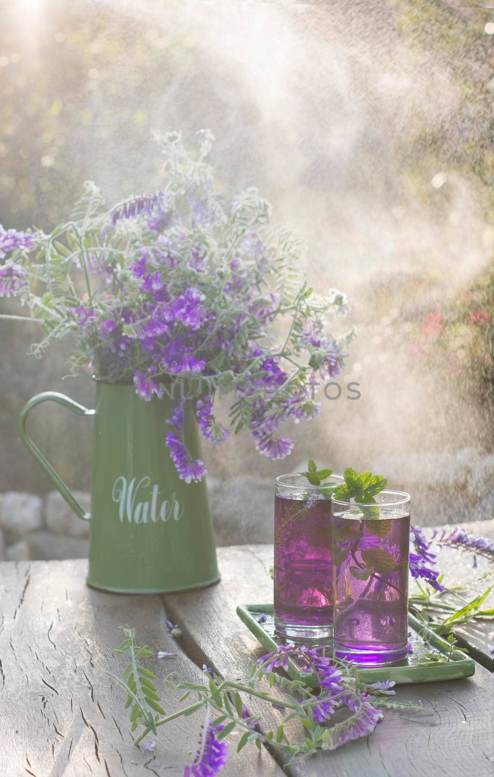 Lilac Lemonade of basil and mint, vintage still life purple and green, in the rays of the setting sun