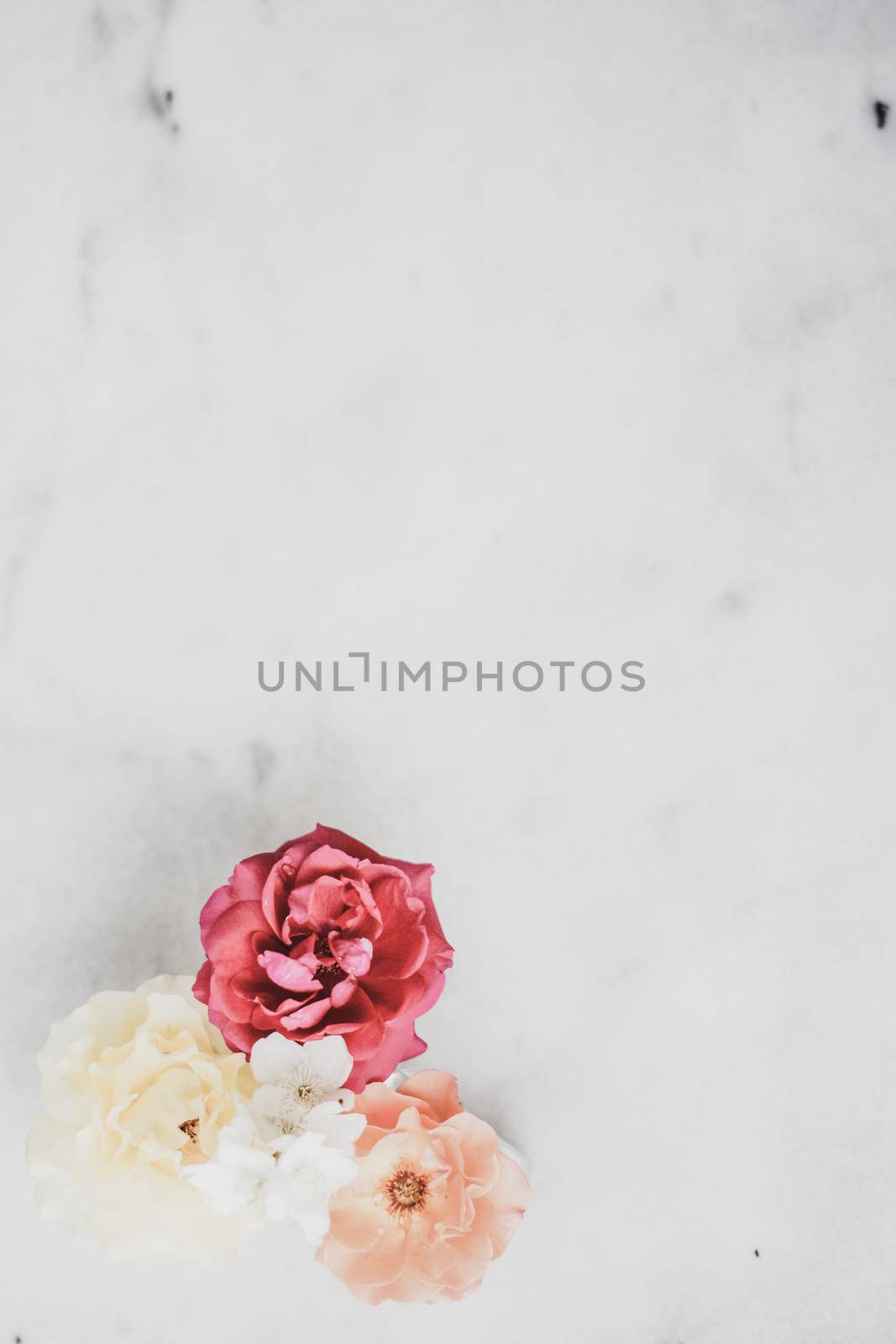 Vintage roses on marble by Anneleven