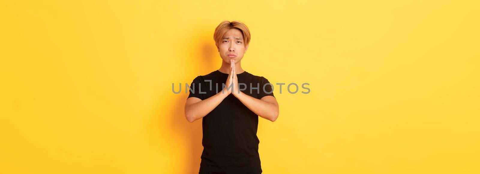 Portrait of miserable asian guy pleading, begging for help, standing over yellow background by Benzoix
