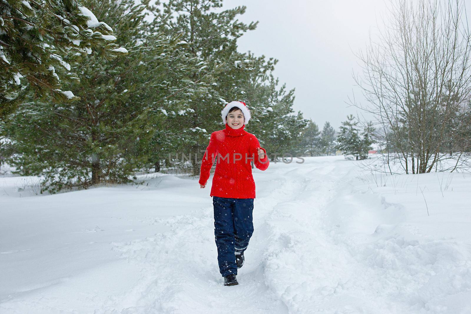 a happy teenager in a red sweater and a red santa claus hat run in the winter in the park, near the pines in the snow, smiling. copy space