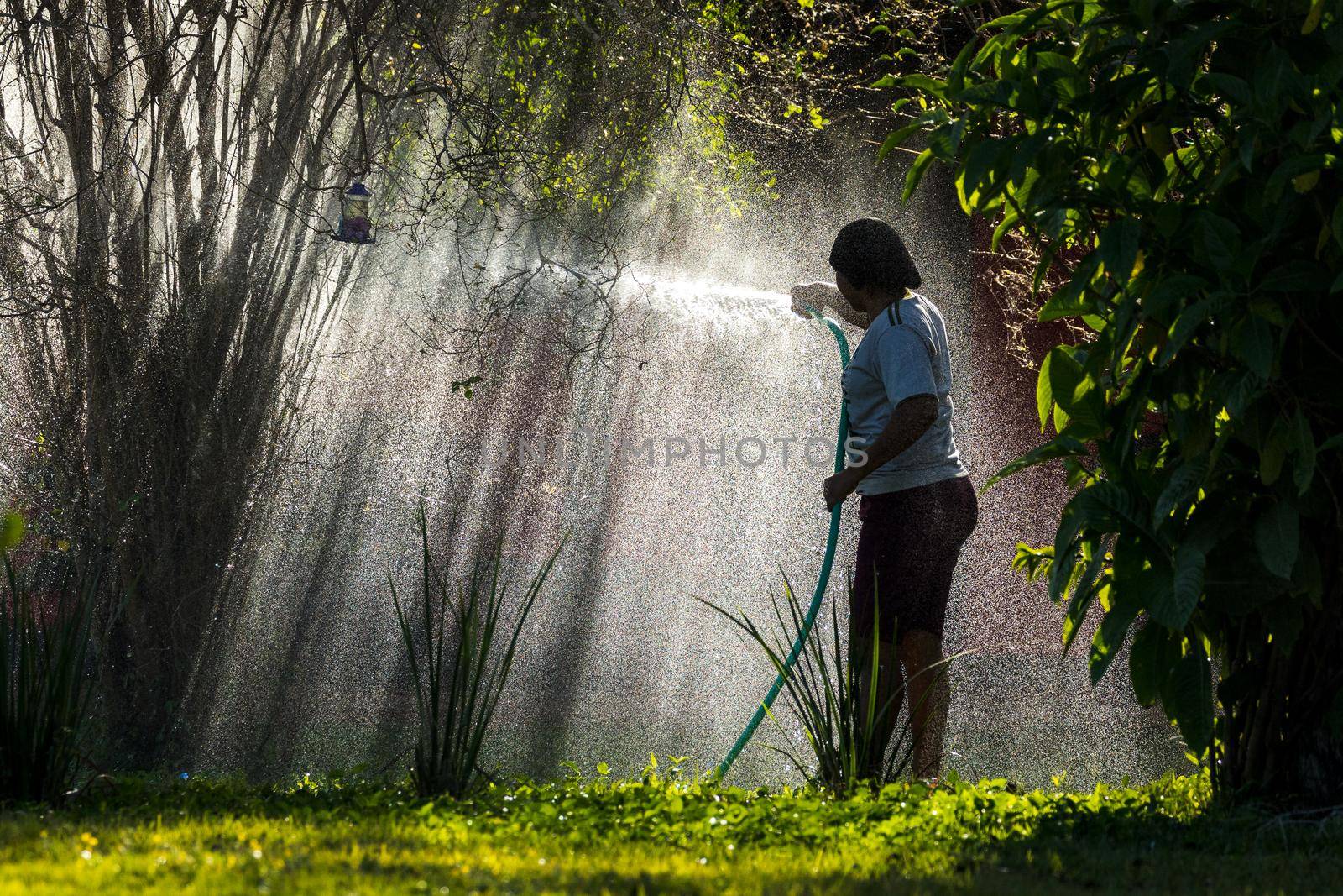 AQUIDAUAUNA, BRAZIL. JUNE 30, 2022: A young woman watering plants on an extremely hot day in Brazil.