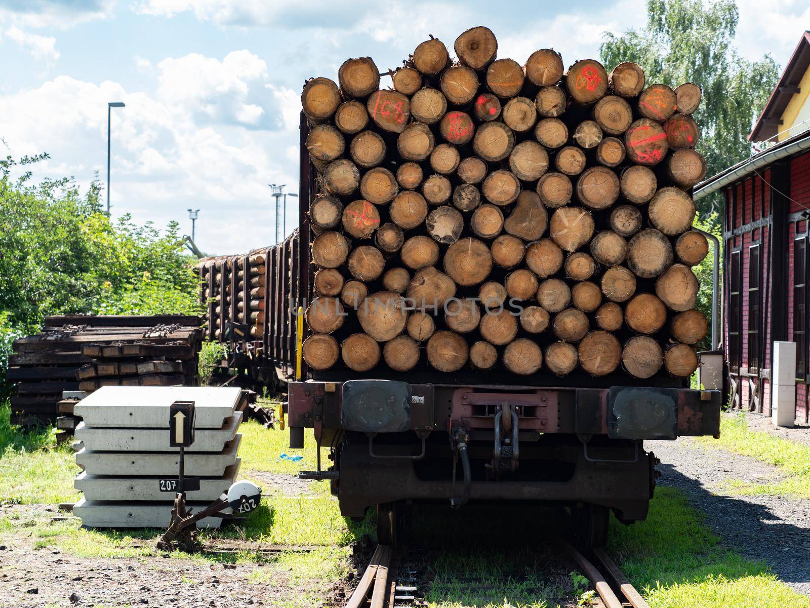 Timber transport by trail by railways. The train car stands in a depot near the switch.