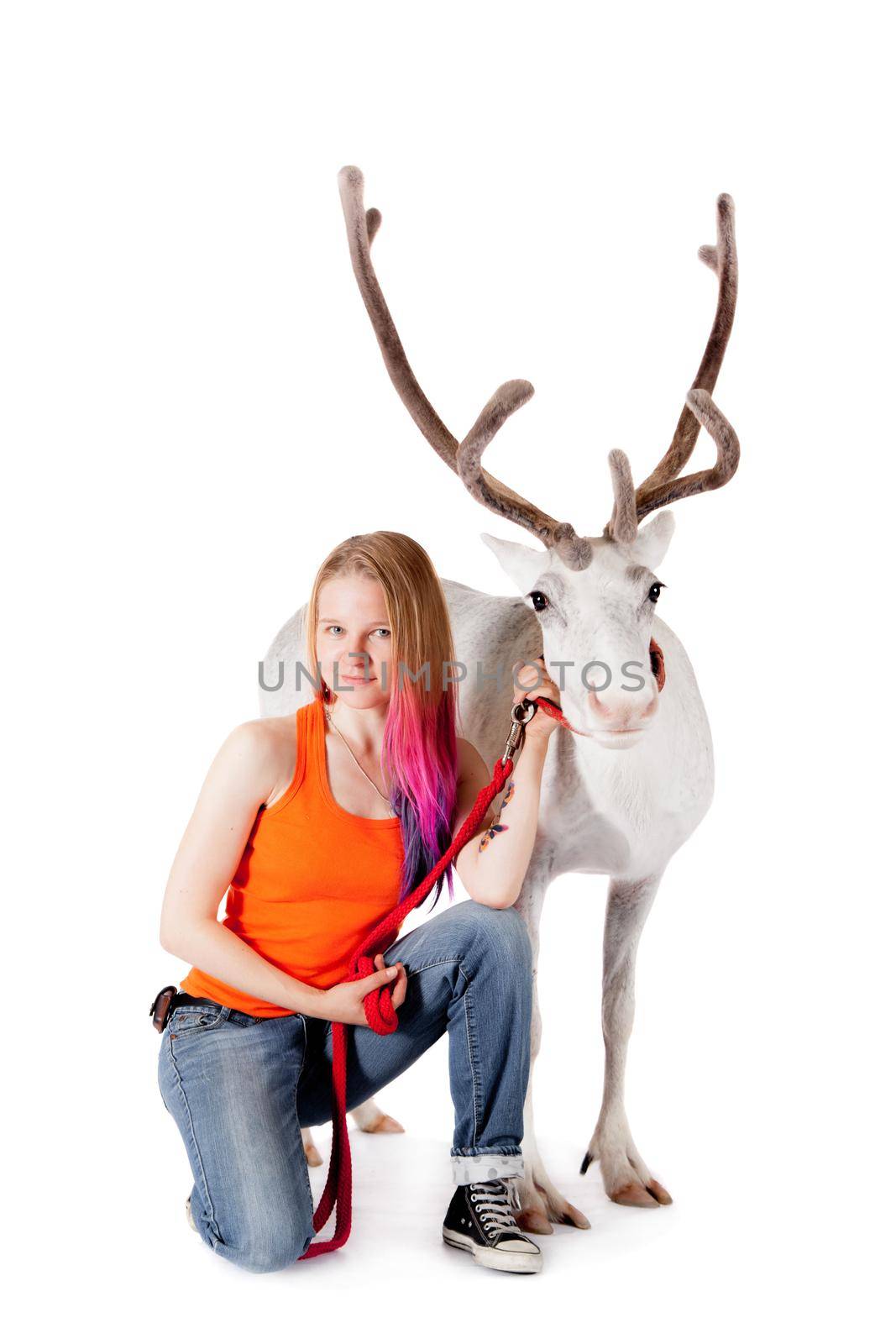 Lapland girl with caribou over white background