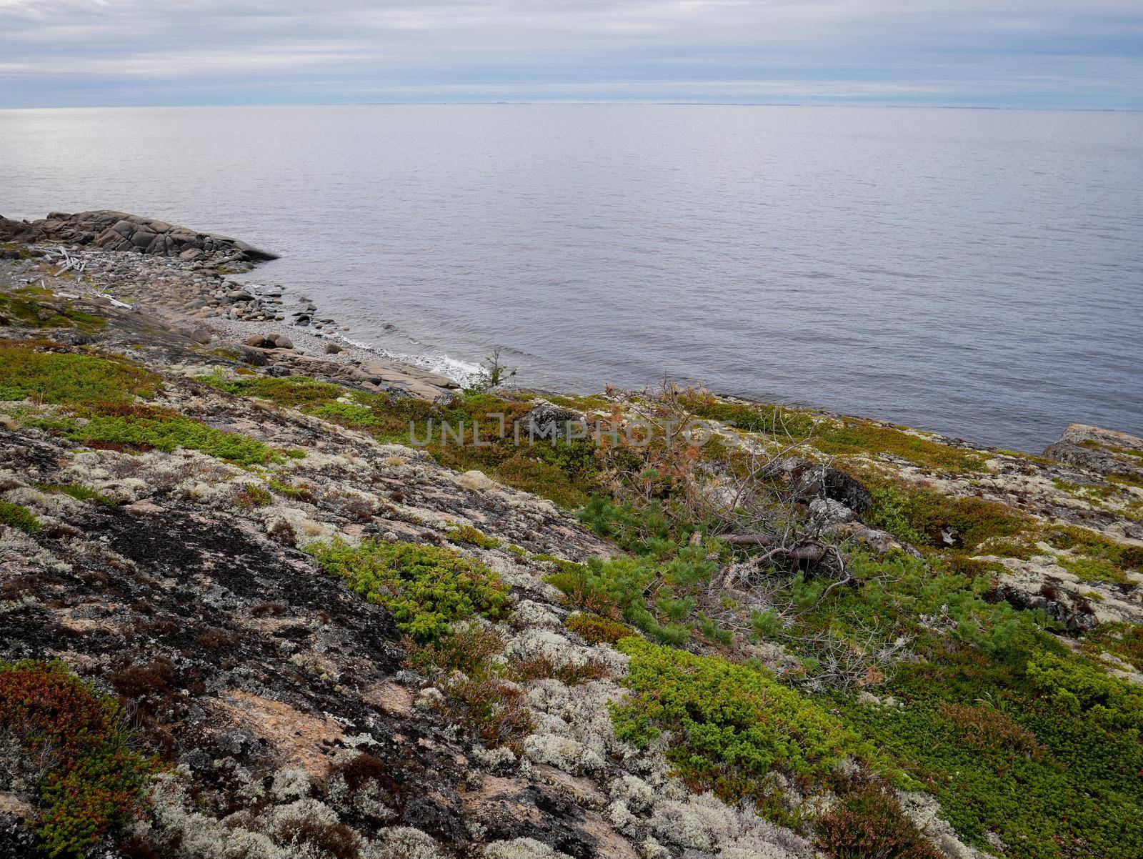 Landscape of the White sea with rocks and mosses