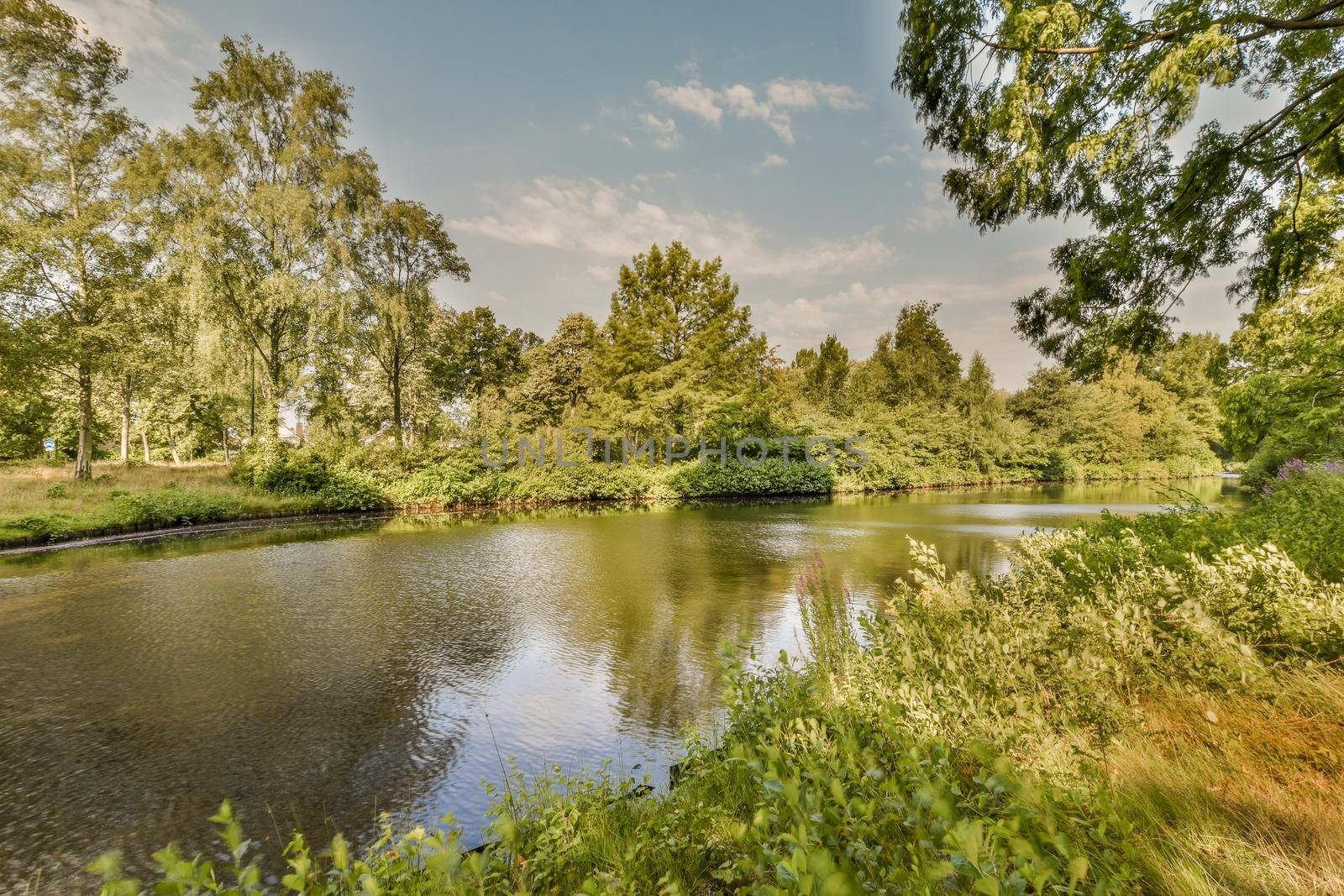 View of street near river with beauty of vegetation outside