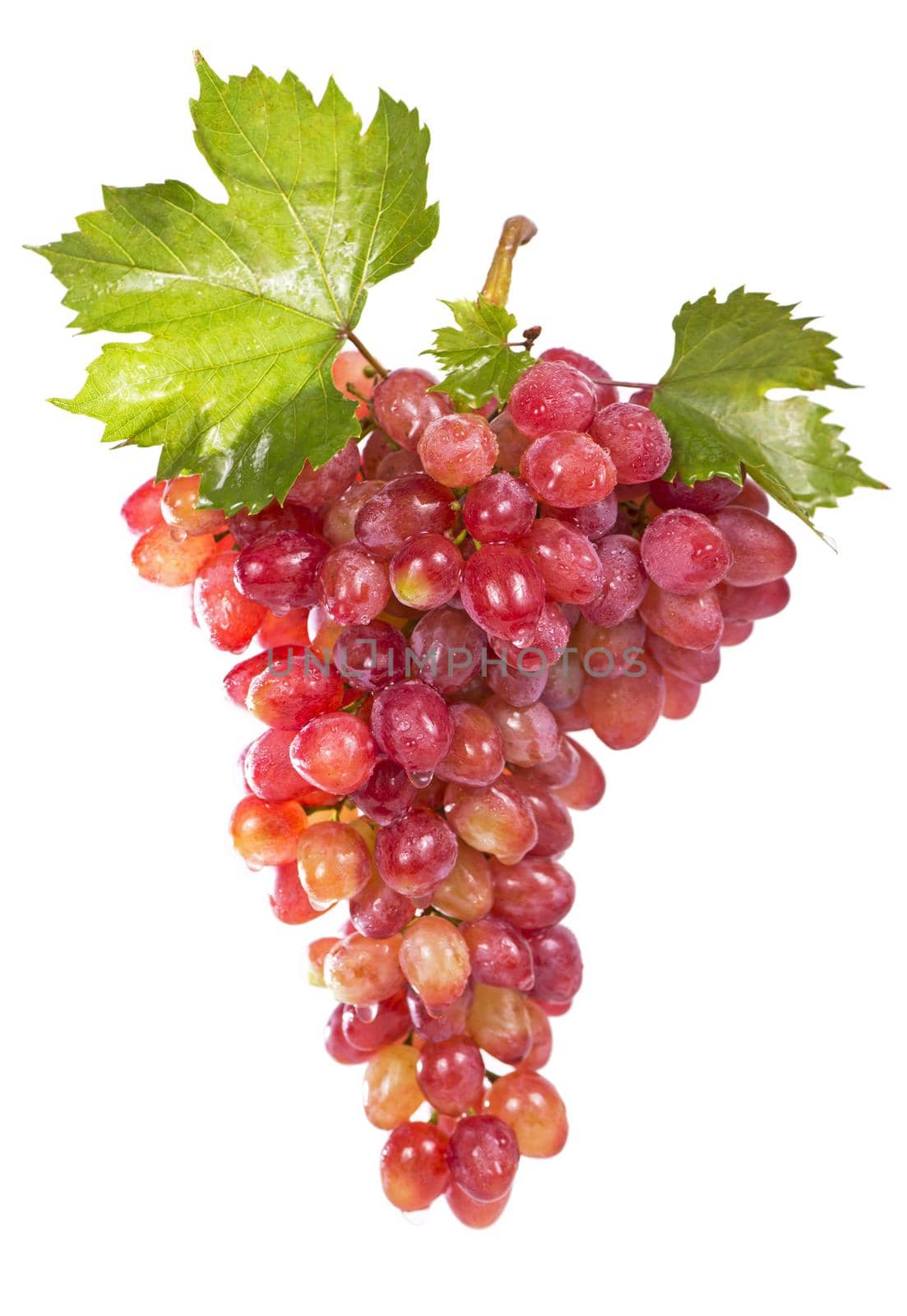 grapes bunch isolated on the white background