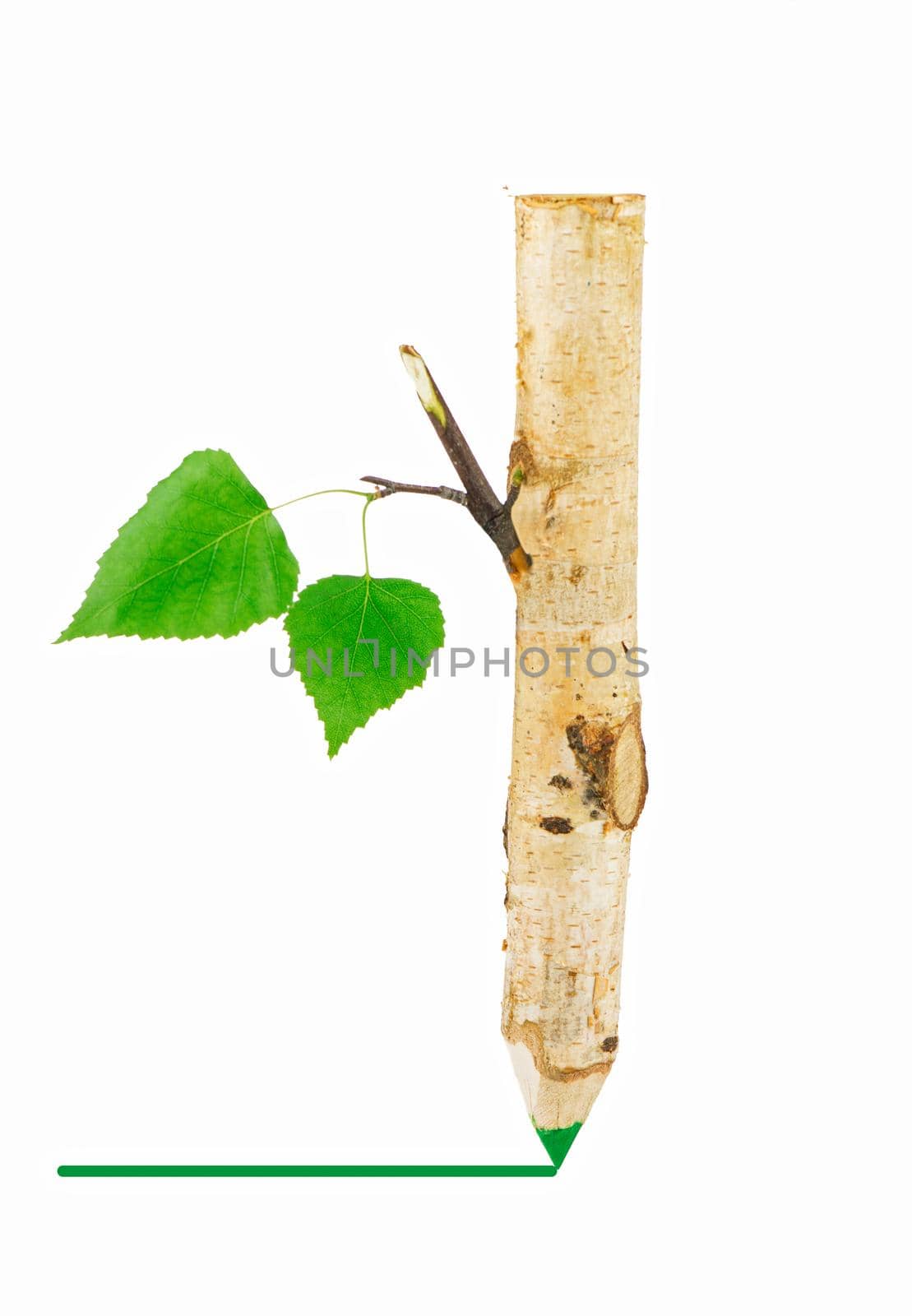 Wooden pencil with leaf. photo can be used as natural backdrop by aprilphoto
