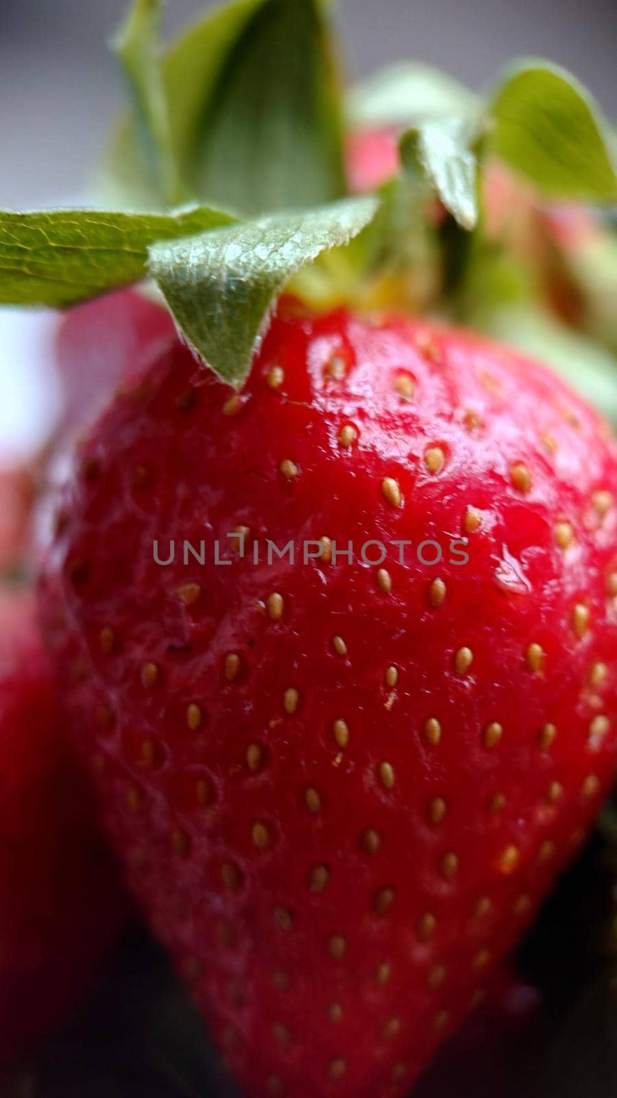 Garden ripe strawberries with green leaves close-up by Mastak80
