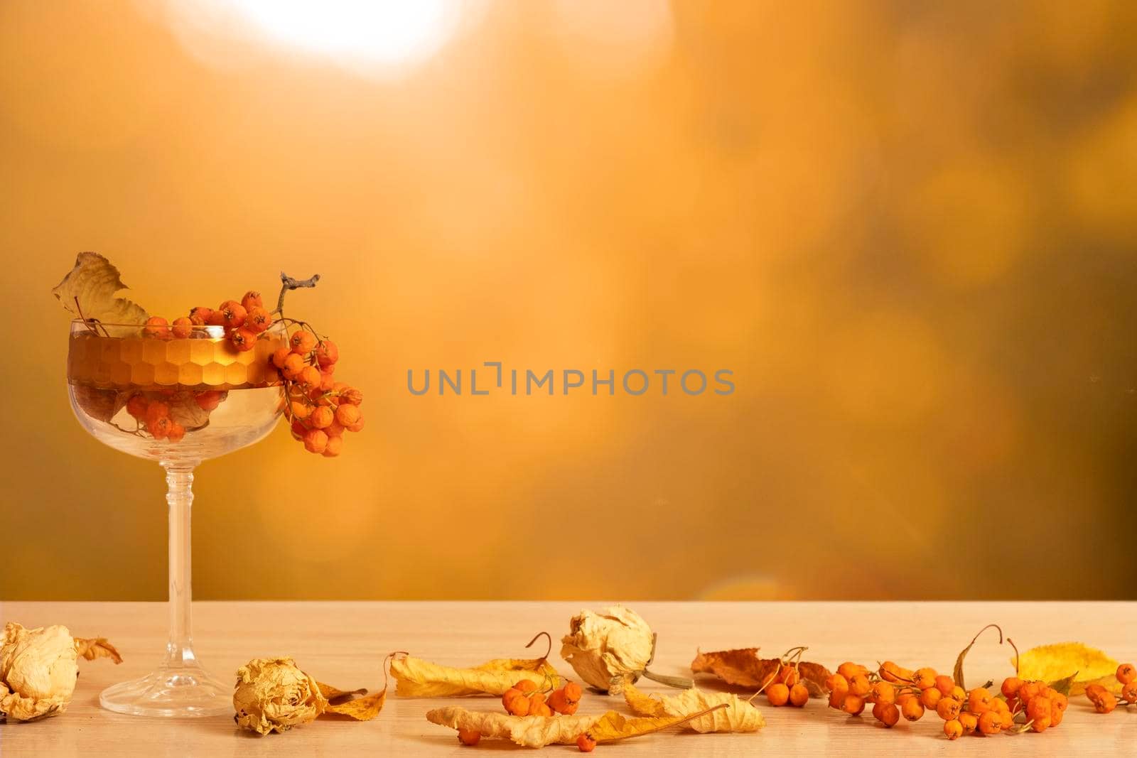 Autumn still life with glass and dry plants on autumn leaf background with sunlight. Abstract autumn composition with copy space