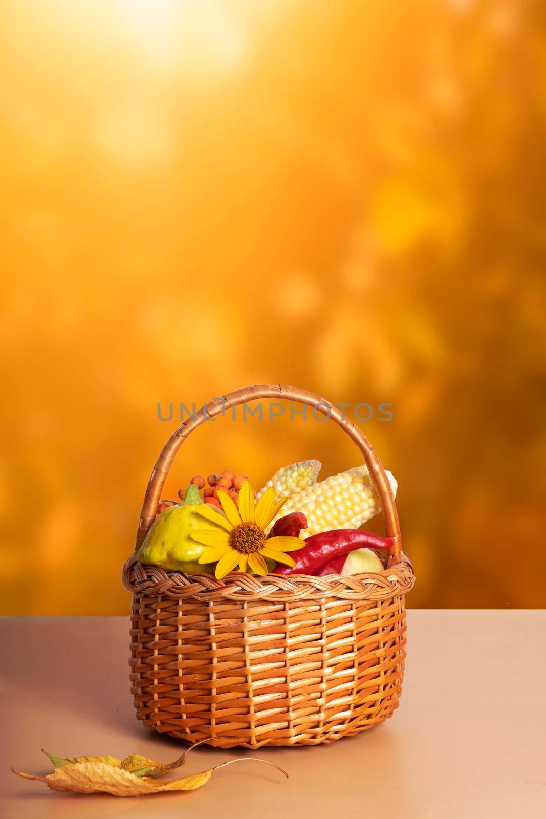Autumn composition with a basket of apples, squash, peppers on the background of an autumn landscape. Autumn harvest concept.
