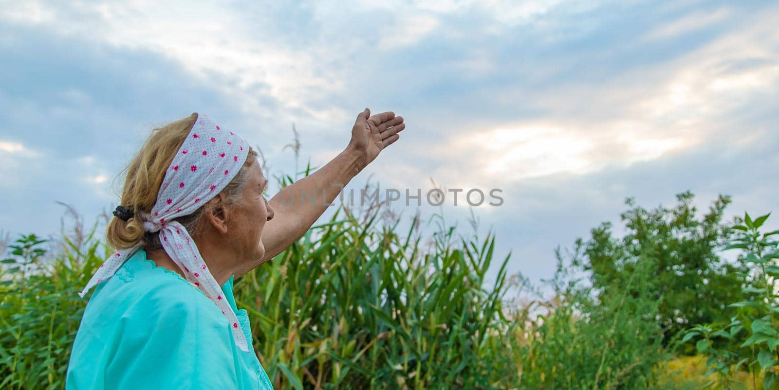 Grandmother points to the sky. Selective focus. Nature.
