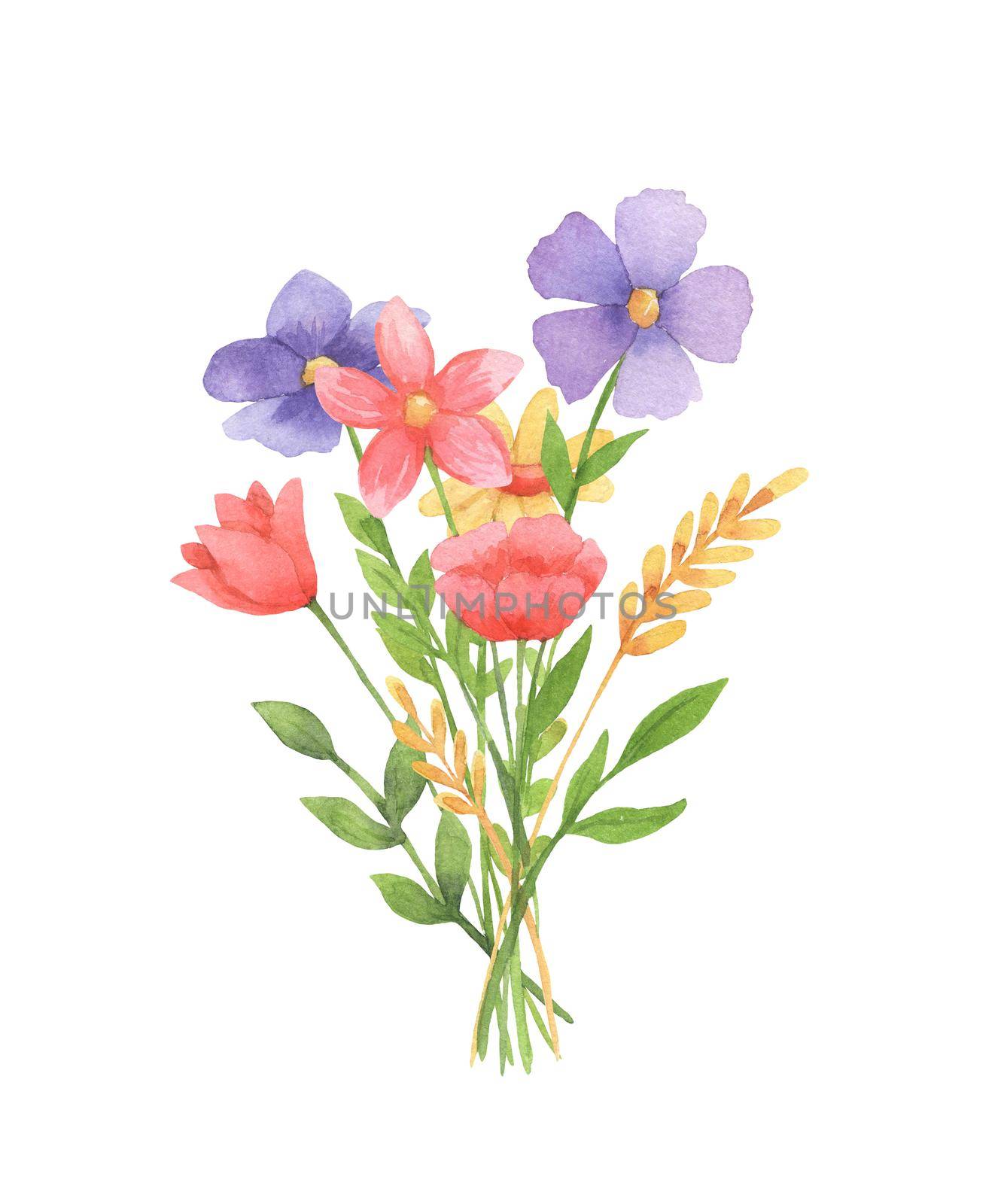 Watercolor illustration bouquet of flowers. Hand drawn wildflowers