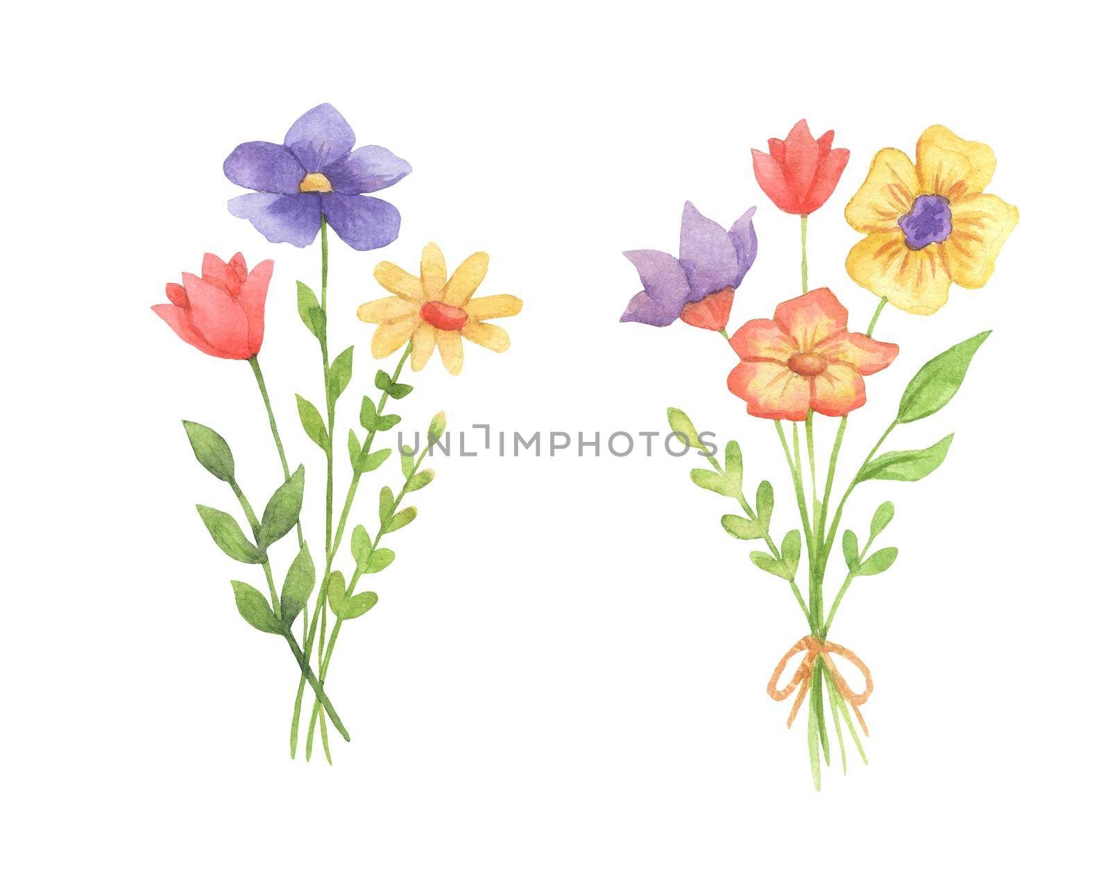 Watercolor illustration bouquet of flowers. Set of hand drawn wildflowers
