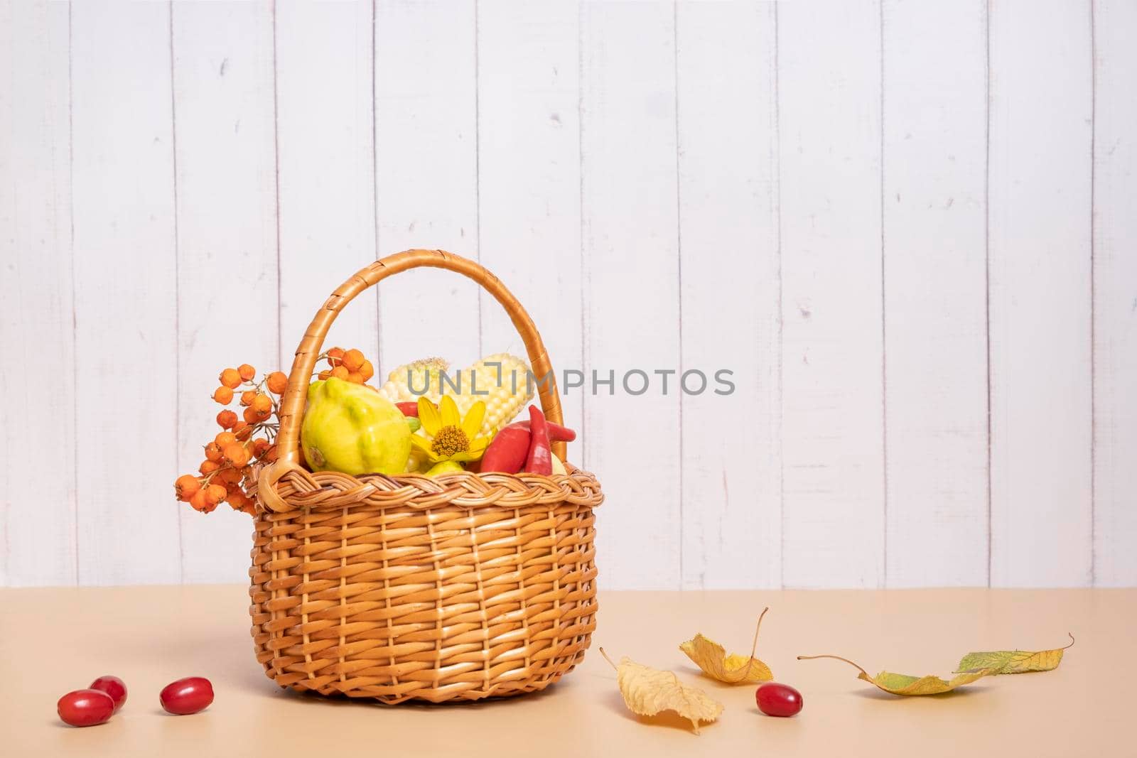 Autumn harvest basket with corn, apples, zucchini and peppers on a wooden background decorated with autumn flower and mountain ash.