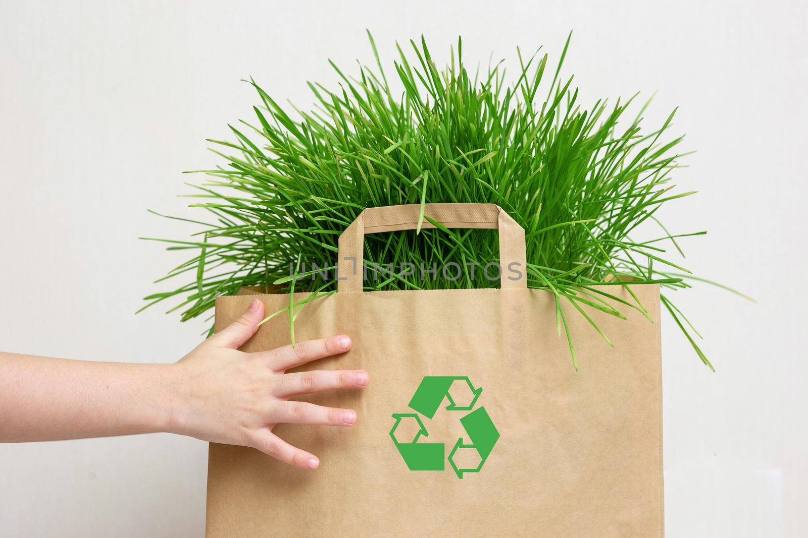 Kids hands hold a paper bag with green grass. Close. Layout. Copy space. The concept of recycling and environmental protection.