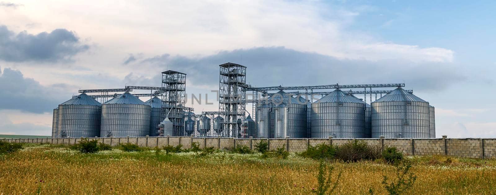 Panoramic view of modern agricultural Silo. Set of storage tanks cultivated agricultural crops processing plant. 