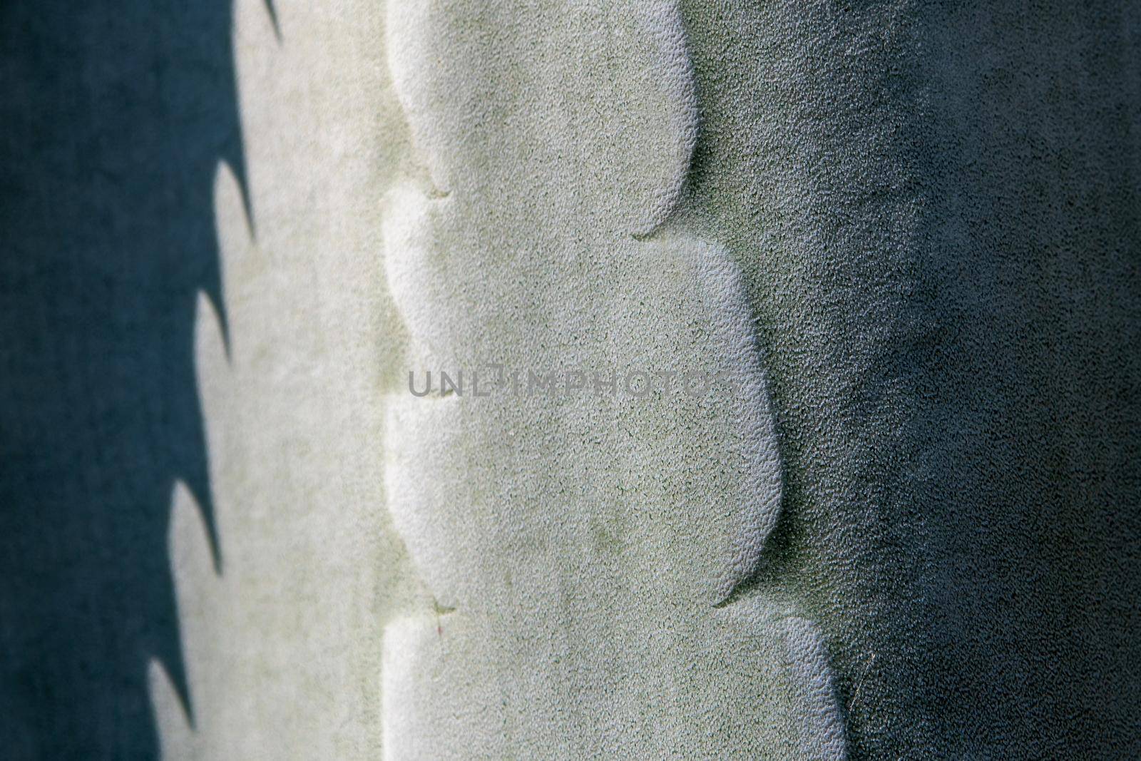 Succulent plant close-up, thorn and detail on leaves of Agave plant by Satakorn