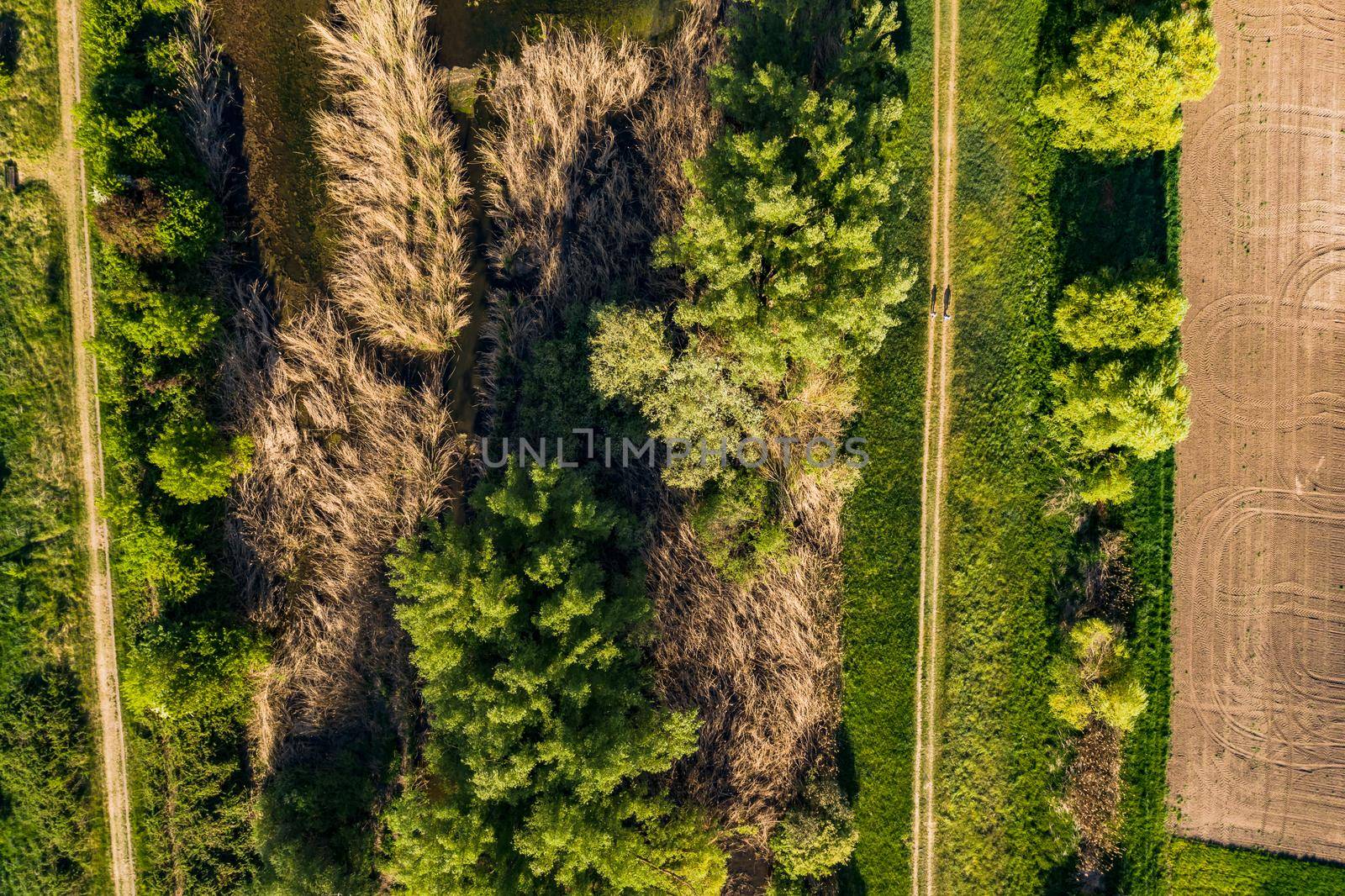 Aerial view of a hiking trail on the dike of a stream with a natural biotope