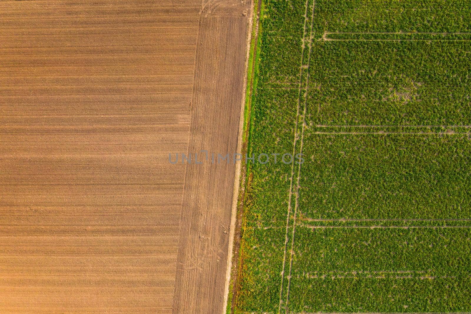 A plowed field with a brown arable soil next to a green field in the south of Germany taken from above