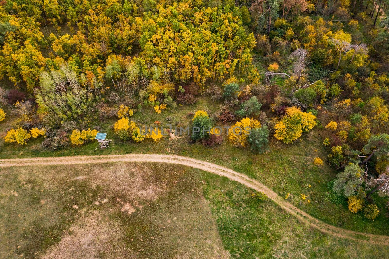 A field edge with a green meadow, a high stand for hunters and a mixed forest in autumn