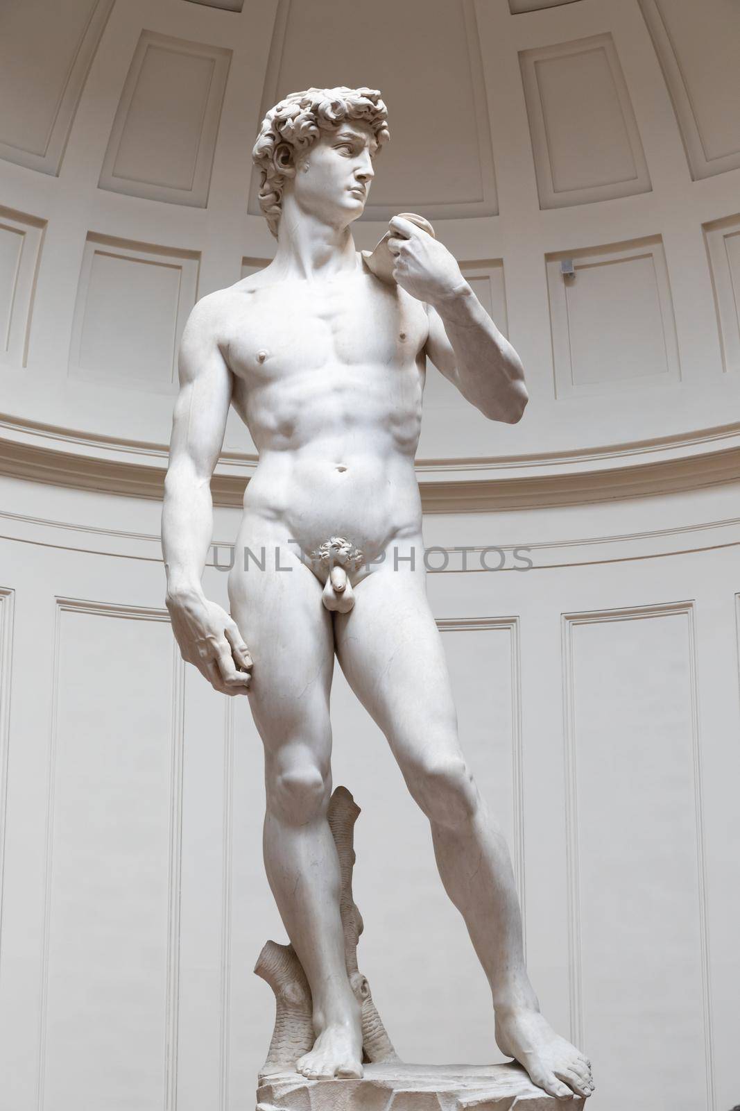 Florence, Italy - Circa August 2021: David sculpture by Michelangelo Buonarroti. The masterpiece of the Renaissance art.