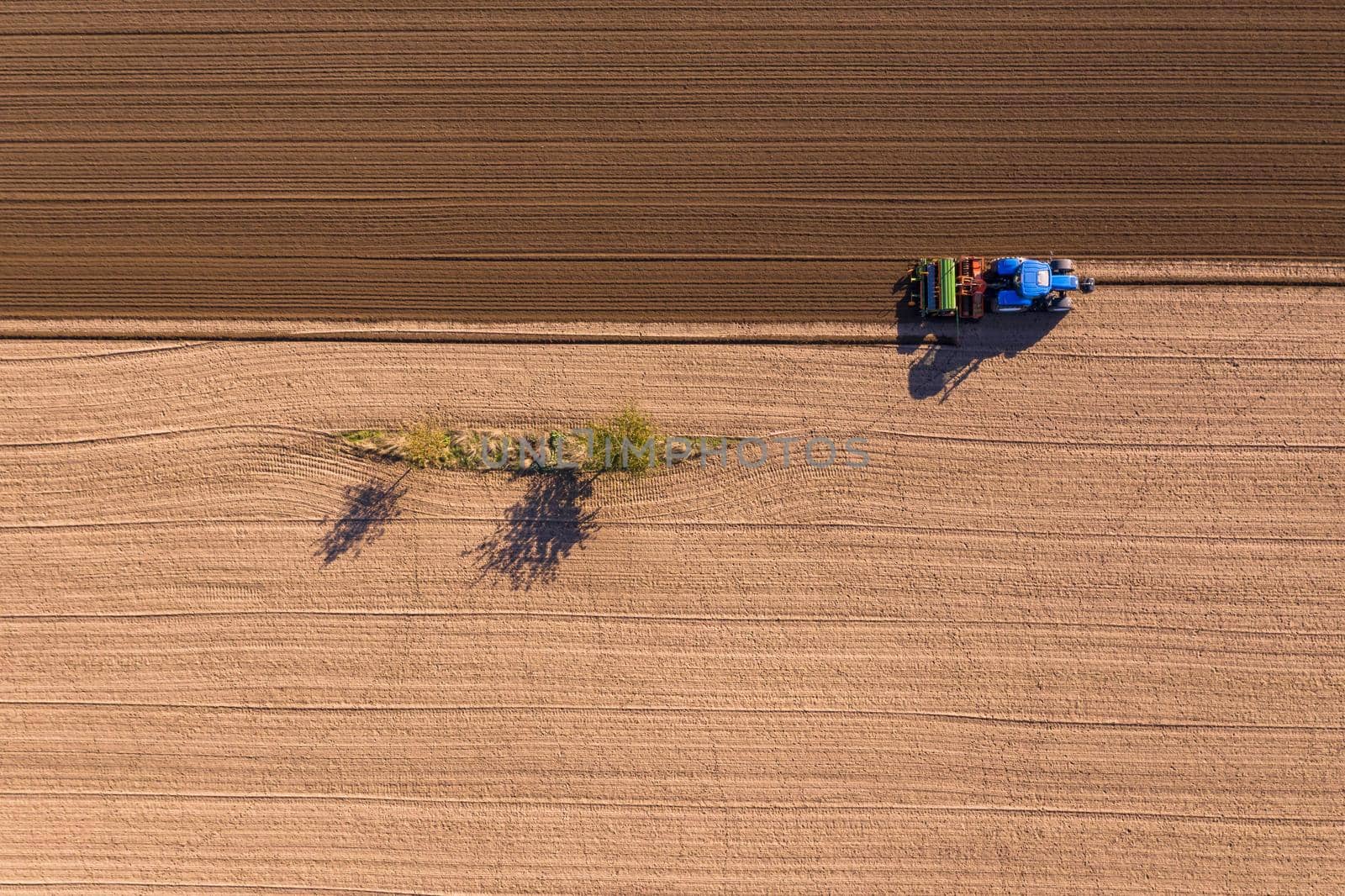 A single small strip of flowers in a plowed brown field surrounded by green field