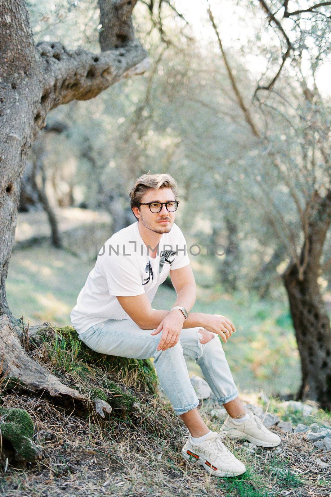 Young man in glasses sits on the roots of an olive tree in a grove. High quality photo