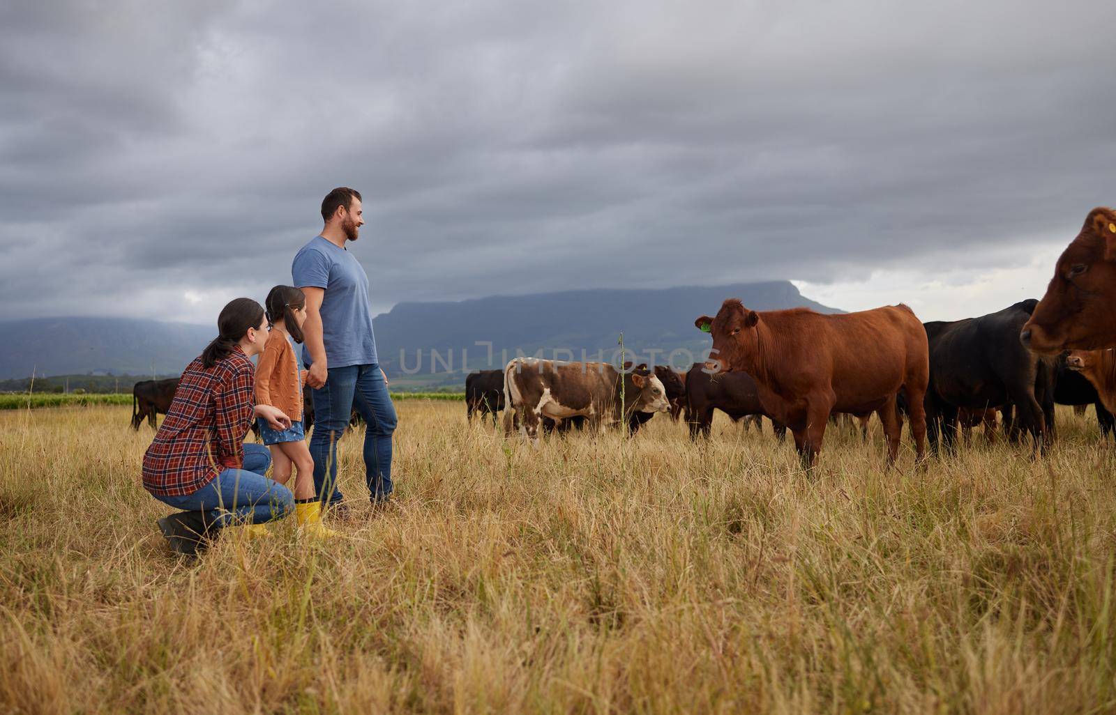 Agriculture, countryside family with cows on a farm or grass field with storm clouds in background. Sustainability mother, father and girl with cattle farm animals for beef or meat growth business.