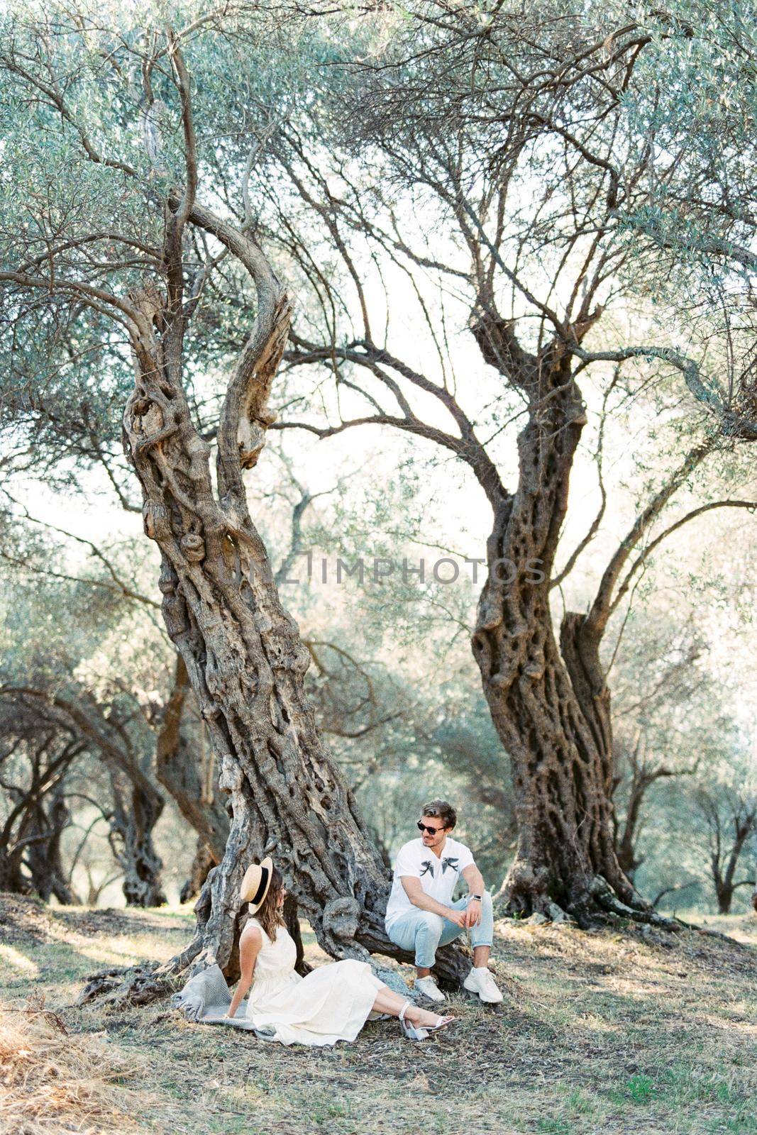 Man and woman sit on the roots of an old olive tree and look at each other. High quality photo